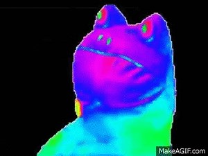 MLG Frog on Make a GIF