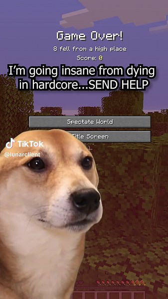please help me #minecraft #lunarclient #hypixel #bedwars #cosmetics #fyp #meme