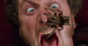 15 filmes com aranhas assustadoras