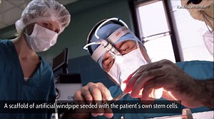 7.5K views · 231 reactions | The making of a human | World Genetics | Facebook