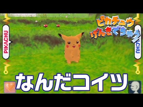 マジで全然話通じない【ピカチュウげんきでちゅう】