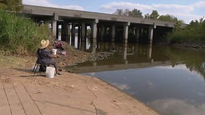 Arkansas Game and Fish Commission offering reward for catching fish | What to know