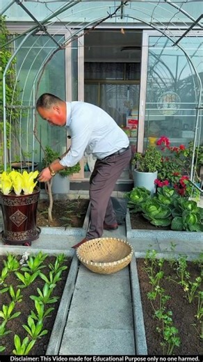 This Man’s Backyard Farming System Is Pure Genius