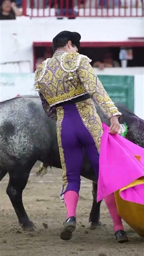 Juan Pablo Sánchez en la Nuevo progreso #torum #toros #short #shorts #viral #torero #arte #mexico