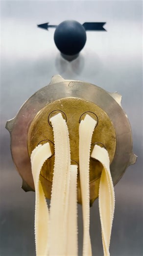 The Aldo Cozzi Pasta Machine mixes, kneads, shapes, and cuts... All in one 🍝 | Vanrooy Machinery