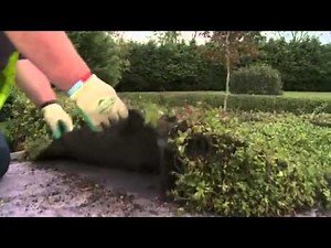 Installing a green roof - Enviromat