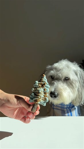 Dog Is Human on Instagram: "The easiest holiday treat + it’s gut and allergy friendly 🎄🎅🏼 #dogmom #doglovers #dogishuman #doglover #dogsofinstagram #dogs #doghealth #dogmomlife #doglove #dogmodel #dogsofnyc #doglovers #canine #canineenrichment #dogtreats"
