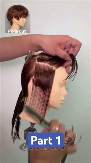 Short Pixie Haircut Tutorial | Sectioning & Bangs | Part 1 |