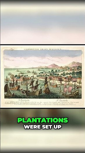 How Statia Became a Major Marketplace for Enslaved People #history #slavetrade
