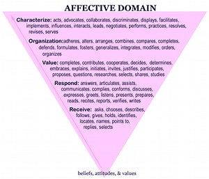 Affective Domain