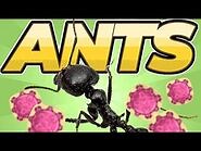 Pocket Ants- Every way to get Pheromones