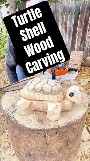 Turtle Shell Wood Carving