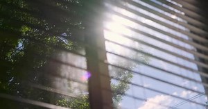 Sun Shining Through Window Blinds Close