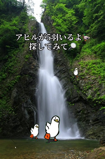 青森・白神山地で隠れたアヒルを探す：どこにいる？