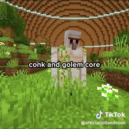 Exploring the Unique Friendship of Joll and Conk in Minecraft