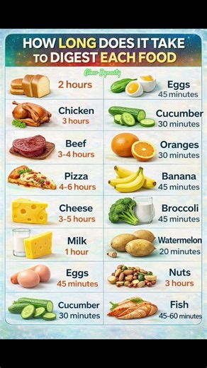 ⏱️ How Long It Takes to DIGEST Each Food 😱 (Shocking Truth!) #shorts