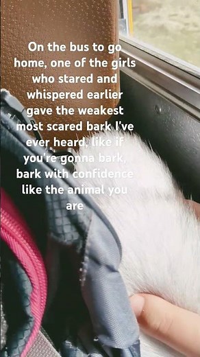 wearing my tail to school! | #cambitherian #therian #publicgearing #emo #furry #fyp