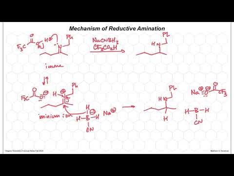 2025F CHE 256 M4L3 20251013