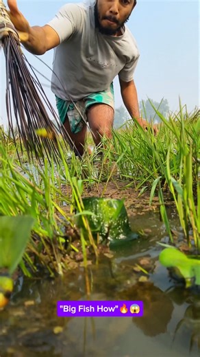 "Real Fishing Vidoe"💥😱#shorts #fishing