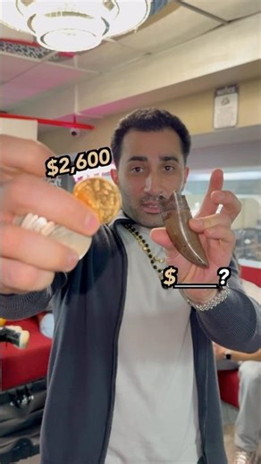 How Much is This T-rex Tooth?