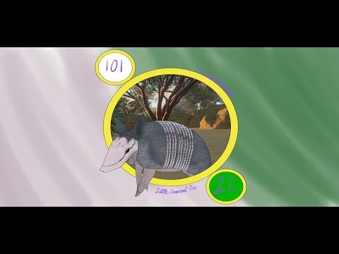 Armadillos, A Planet Zoo Experience