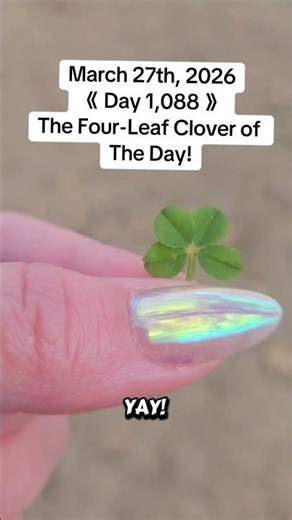 Day 1,088- Finding a Genuine Four-Leaf Clover. 🍀 #fourleafclover #nature #plants