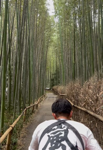 Experience the Magic of Arashiyama's Bamboo Forest by Rickshaw