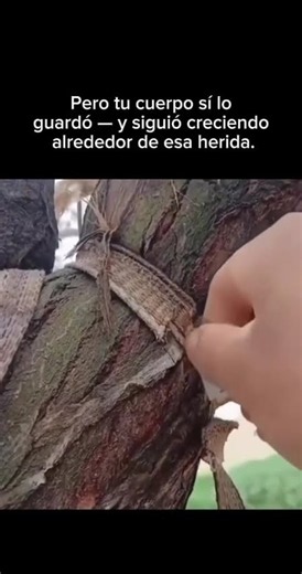 Fue hace mucho tiempo