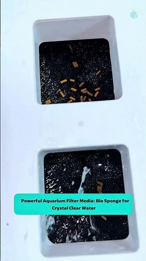 Powerful Aquarium Filter Media: Bio Sponge for Crystal Clear Water #aquarium #fishtank #tools