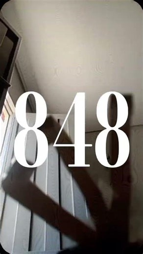 the experimet 848(the perfect)