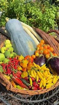 What a beautiful crunchy harvest! 🤠🍆🌿🍅🌶️✨#garden #harvest #farmlife #abundance