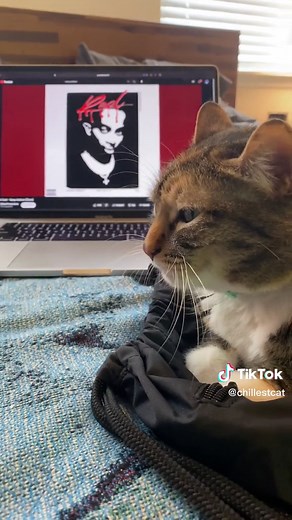 Playboi Carti Vamp Anthem Reaction with My Cat | Funny TikTok Compilation