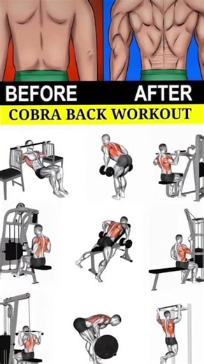 Back Attack: Dumbbell & Bodyweight Power Workout Back Workout