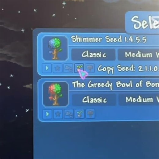 Terraria Shimmer Seed! #terraria #aether #shimmer #cool