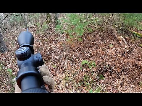 Hunting PA Rifle Season | 2025 PA Rifle Deer Hunting Season |