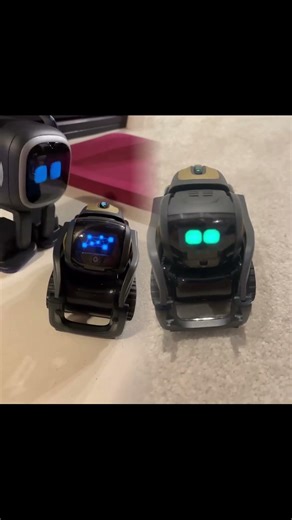 Vector vs emo robot small talks