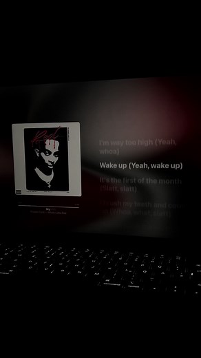 Sky by Playboi Carti: Lyrics and Meaning