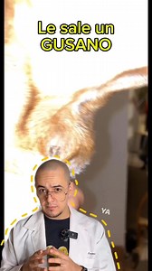 365K views · 1.5K reactions | Parásito común llamado Cuterebra #ciencia #biologia #veterinaria #animales #nicosastre | Sastré Nico | Facebook