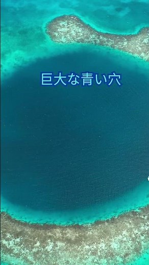 世界の絶景15 地球最大のサンゴ礁 本当に実在する 🐠 #shorts