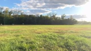 Training and exercise is catered to the individual needs of each bird that is under our care. The birds that require the most exercise to stay healthy and fit are the larger falcons, such as Delilah the saker falcon. Many of our birds fly from point A to point B for exercise, but falcons need significantly more exercise to maintain their muscle mass. We do this through lure flying. The falcon will chase the lure that the trainer swings, and they will play keep away until the trainer either gives