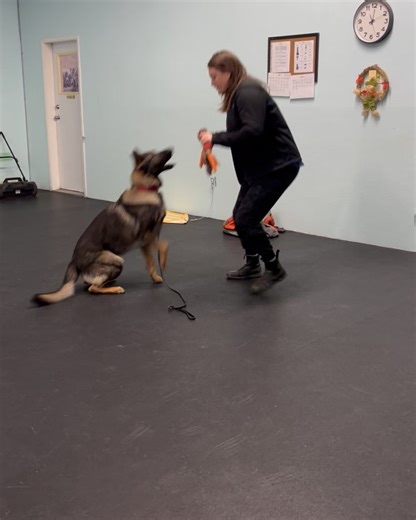 TNT Training on Reels