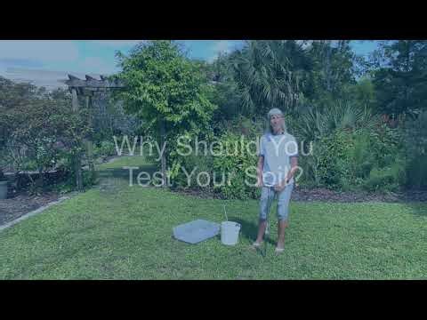 Soil Sampling and Testing