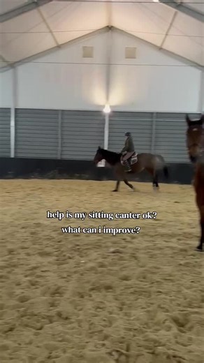 Improving Your Sitting Canter While Horse Riding