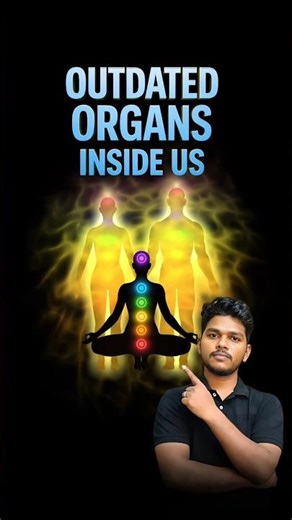 Why Your Body Still Has These ‘Useless’ Organs