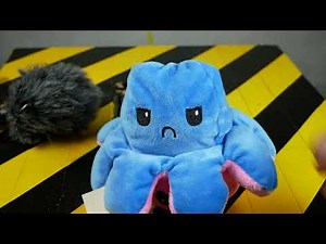 Shredding Machine Crushing: Flip Octopus Fidget Toy