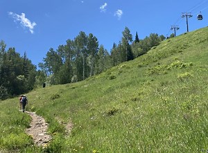 Vail Mountain begins summer operations for hikers, bikers and gondola riders