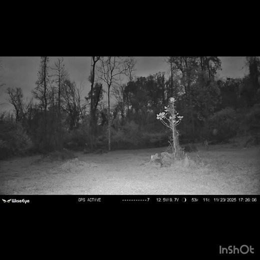 First Come First Serve! #wildernessseason #deerhunting #outdoorlife #rut #chasingdreams #wildlife