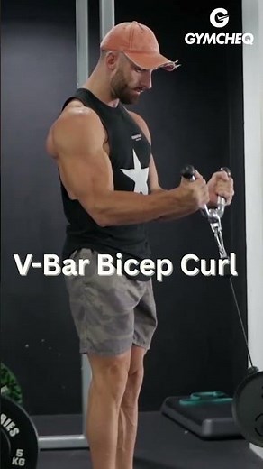 V-Bar Bicep Curl: Train Your Biceps Correctly
