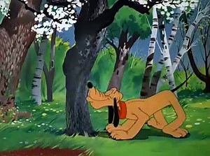 Pluto - Springtime for Pluto  (1944)