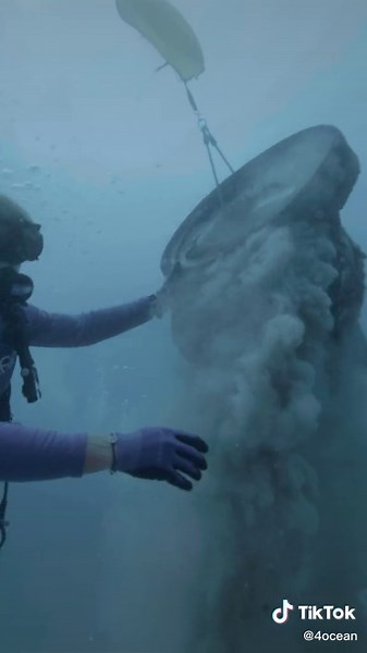 Our professional divers are going up to 60ft below the ocean's surface to clean The Osborne Reef and protect coral reefs #oceancleanup #saveouroceans